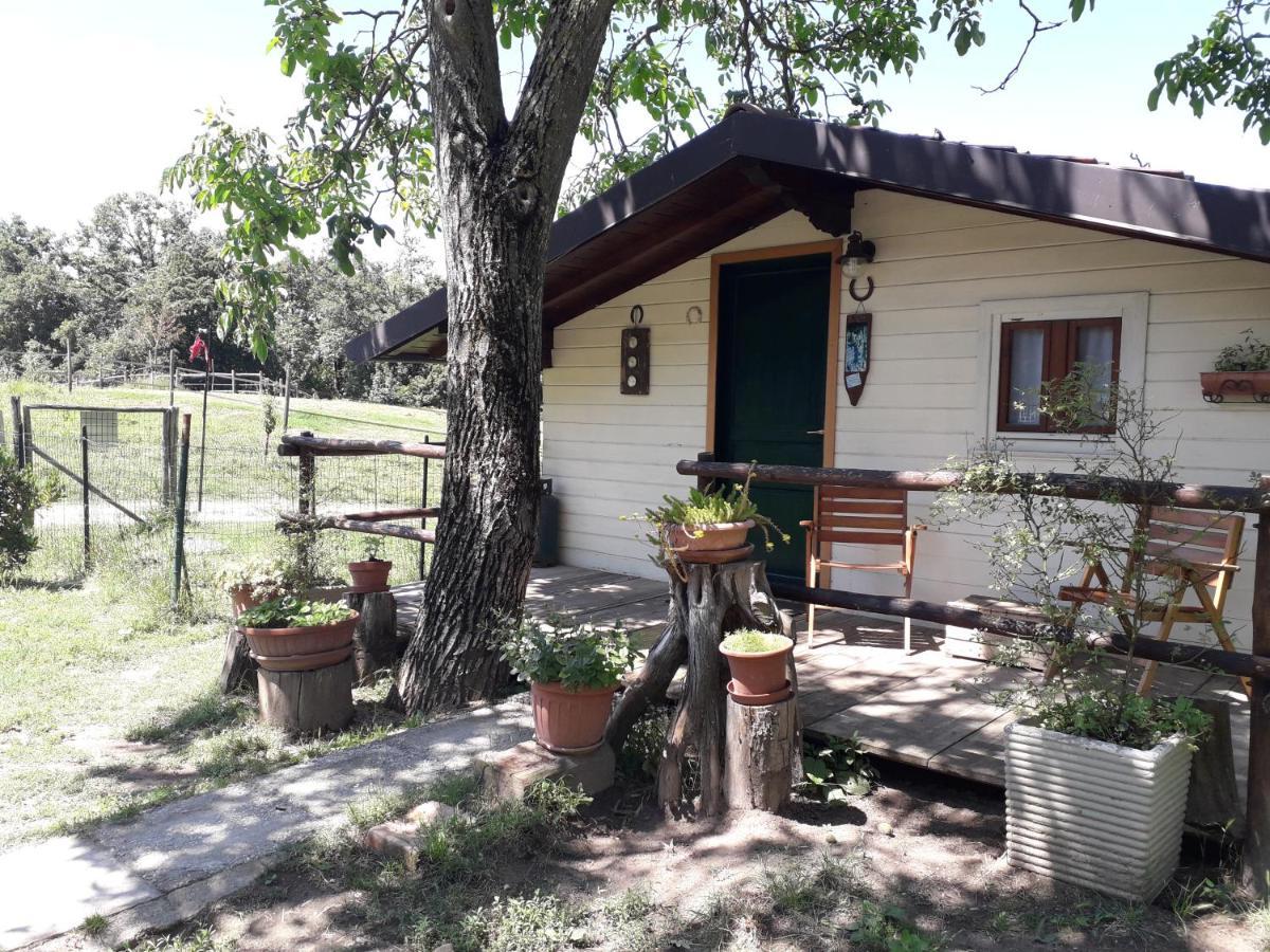 Il Casalino Bed & Breakfast Pianoro Dış mekan fotoğraf